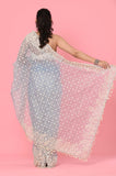 Blue Organza Embroidered DesignerSaree