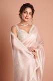 Pink Tissue Handwork Designer Saree