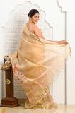 Beige Organza Saree with Embroidary