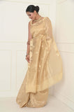 Golden Tissue Banarasi Saree