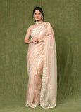 Pink Tissue Moti Work Designer Saree