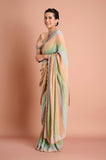 Green Shaded Stripes Soft Organza Handwork Designer Saree